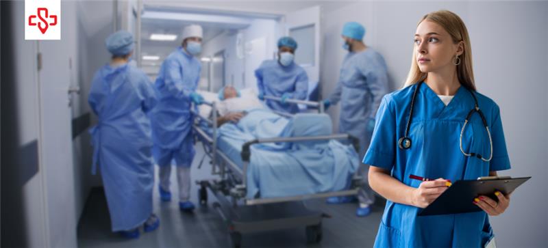 Emergency Department Scribe Programs